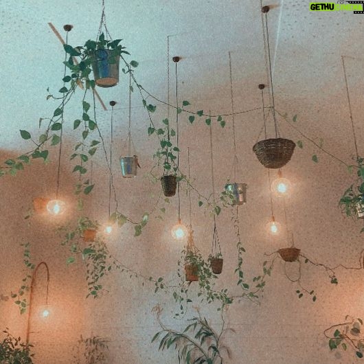 Aurora Aksnes Instagram - Some orange moments. If that makes sense to you!!!! ๐โจ๐งก๐