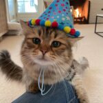 Maude Apatow Instagram - Happy 2nd birthday to my daughter 😭😭😭😭😭😭❤️❤️❤️❤️❤️❤️❤️❤️❤️❤️