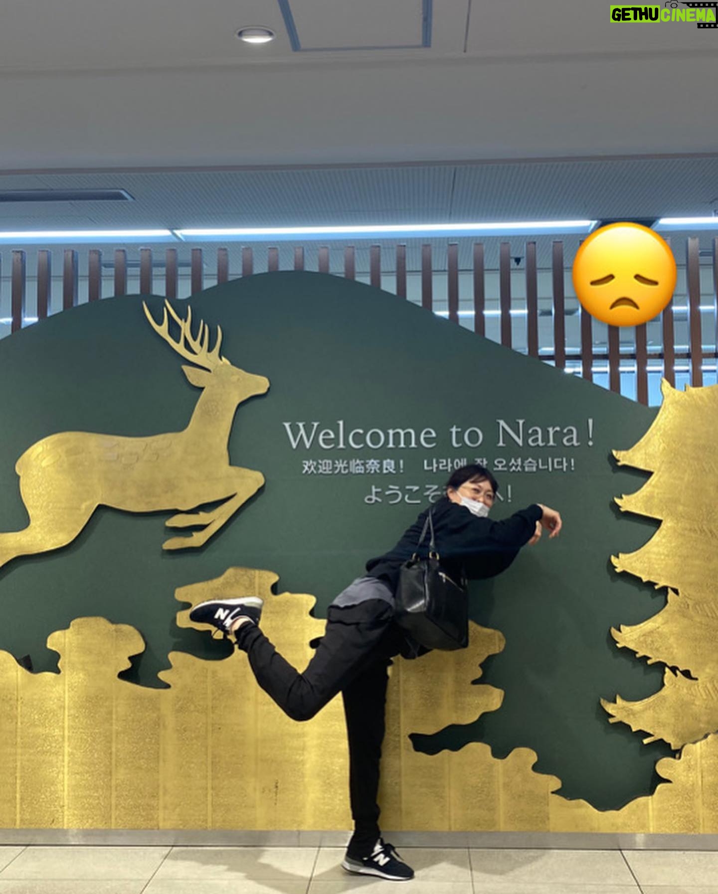 Asami Mizukawa Instagram - なら国際映画祭で奈良に行った時の、あれやこれや。
楽しかったので載せとこ〜🦌🤍