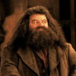 Bonnie Wright Instagram - Heartbroken by the passing of Robbie Coltrane. Hagrid was my favourite character! Robbie portrayed Hagrid’s warmth, sense of home and unconditional love for his students and magical creatures so brilliantly. Robbie always treated me and my fellow cast mates when we were wee kids like equal professionals on a film set. A type of attitude that instilled confidence and a sense of togetherness. Thanks for all the laughter. Miss you Robbie. Sending love to your family. Rest In Peace 🧡