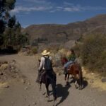 Georgina Amorós Instagram - Días muy tranquilos en el Colca, excepto por el último video 🙈🦙🌿🌞