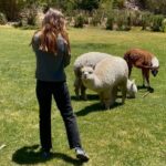 Georgina Amorós Instagram - Días muy tranquilos en el Colca, excepto por el último video 🙈🦙🌿🌞