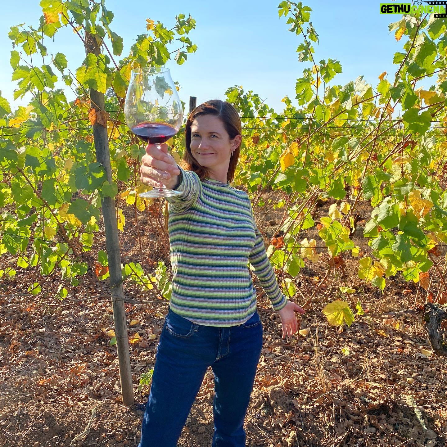 Bonnie Wright - 103.5K Likes - When I see a glass of organic biodynamic wine coming towards me 👀 A few weekends ago I had the joy of shooting my next @gogently.earth YouTube episode @coopermountainvineyards learning about the wine making process and caring for our soils. 4th photo is the most beautiful compost pile I’ve ever seen! Episode out November 13th 🍷🍷🍷