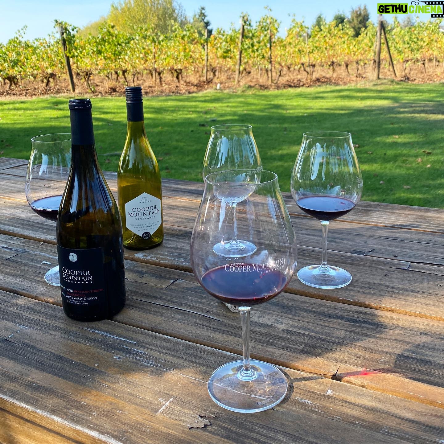 Bonnie Wright - 103.5K Likes - When I see a glass of organic biodynamic wine coming towards me 👀 A few weekends ago I had the joy of shooting my next @gogently.earth YouTube episode @coopermountainvineyards learning about the wine making process and caring for our soils. 4th photo is the most beautiful compost pile I’ve ever seen! Episode out November 13th 🍷🍷🍷