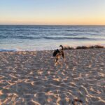 Bonnie Wright Instagram - sometimes you’ve just got to stop & watch the sun go down 🌞