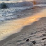 Bonnie Wright Instagram - sometimes you’ve just got to stop & watch the sun go down 🌞