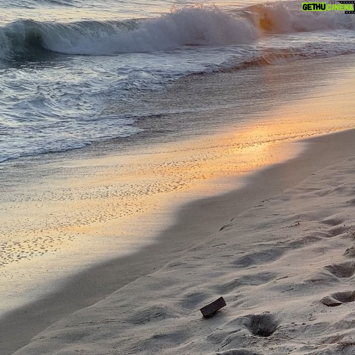 Bonnie Wright Instagram - sometimes you’ve just got to stop & watch the sun go down 🌞
