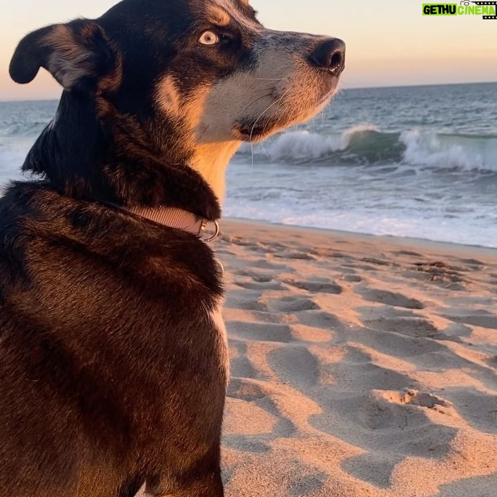 Bonnie Wright Instagram - sometimes you’ve just got to stop & watch the sun go down 🌞