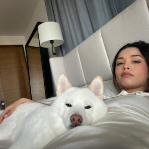 Valkyrae Instagram - 1 like = 1 pet for Mika 🐶🤍