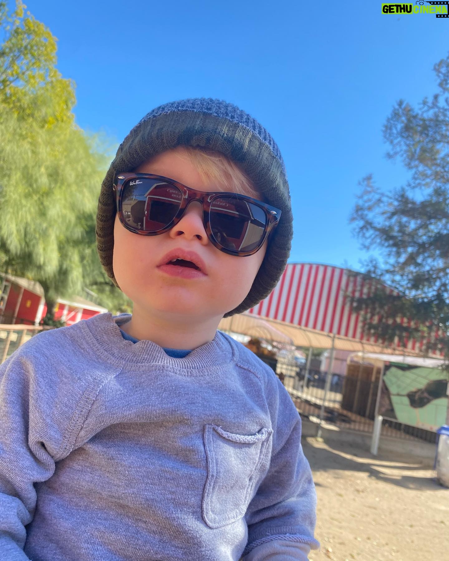 Camilla Luddington Instagram - 😎 Lucas