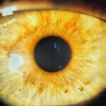 Biran Damla Yılmaz Instagram – Son bir haftamın özeti…🙃🗝