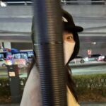Shin Min-a Instagram - 🧊
