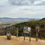 Maude Apatow Instagram – KYOTO🇯🇵🎋