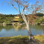 Maude Apatow Instagram – KYOTO🇯🇵🎋