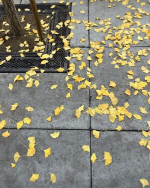 Tessa Thompson Instagram - *soft place to land*