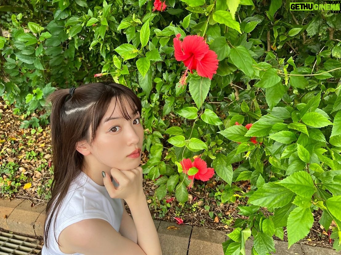 Mei Nagano Instagram - ・
カレンダーが発売されました☺️
2023年も共に過ごしましょ🫶
