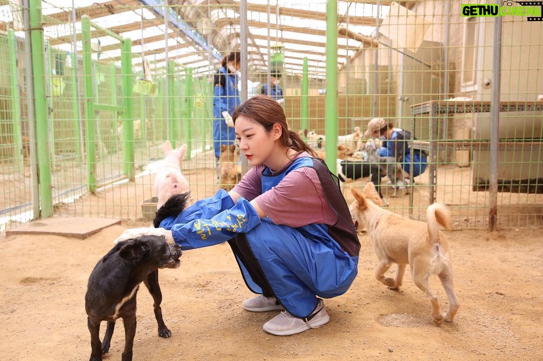 Kim Sae-ron - 196.3K Likes - 소중하고 사랑스러운 아이들이 조금이라도 편하고 깨끗하게 지낼 수 있고, 좋은 새가족을 많이 만날 수 있도록🙏🏻