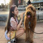 Hyomin Instagram – Moment of Love 2022 🤎
여러모로 나에겐 선물 같았던 2022년. 고마웠어~ 안녕!