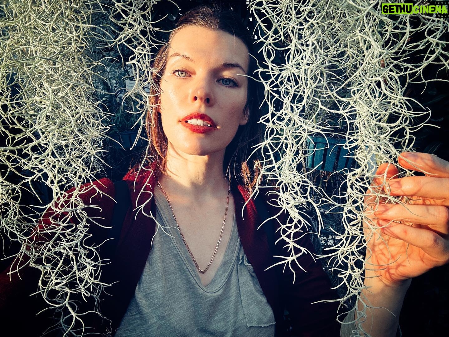 Milla Jovovich Instagram - Never thought a trip to the botanical gardens would make the kids so peaceful and introspective. We all wandered through the humid environment and the little ones would sit so still waiting for the fairies to come out of hiding. The girls watched the reflections of the plants and leaves in the pools of water, speaking in whispers. I took the opportunity to snap some beautiful, poignant pictures that I knew captured the mood we all felt. Some places have magic. You can feel them. Kids feel them even stronger and react in unexpected ways. My own who are usually chatterboxes just perched in out of the way places and let the garden speak to them in its warm, languorous, embracing way. And it all felt exactly as it should. And it all felt just right. Xo m❤️