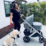 Gina Rodriguez Instagram - Test run with pup Summer and baby! I’m ready thanks to help from my friends at Babies”R”Us. They are about to announce their first flagship store. Did I spoil the surprise?! ❤️❤️❤️🤰🏽🤰🏽🤰🏽shoutout to the hubby for putting this stroller together, it’s happening!!! @joe_locicero 
Follow @babiesrus for updates 
#pregnant #expecting #newborn #babiesruspartner