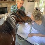 Yolanda Hadid Instagram – ❤️🔥 It’s been hard to go on without your presence in my life,
I miss my barometer, my truthteller, my safespot and anchor of my being…
You are my heart and soul my beautiful mamma, i know your light is shining down on me from heaven.
I deeply honor you today, the day you brought me into the world, the day that will forever be ours.