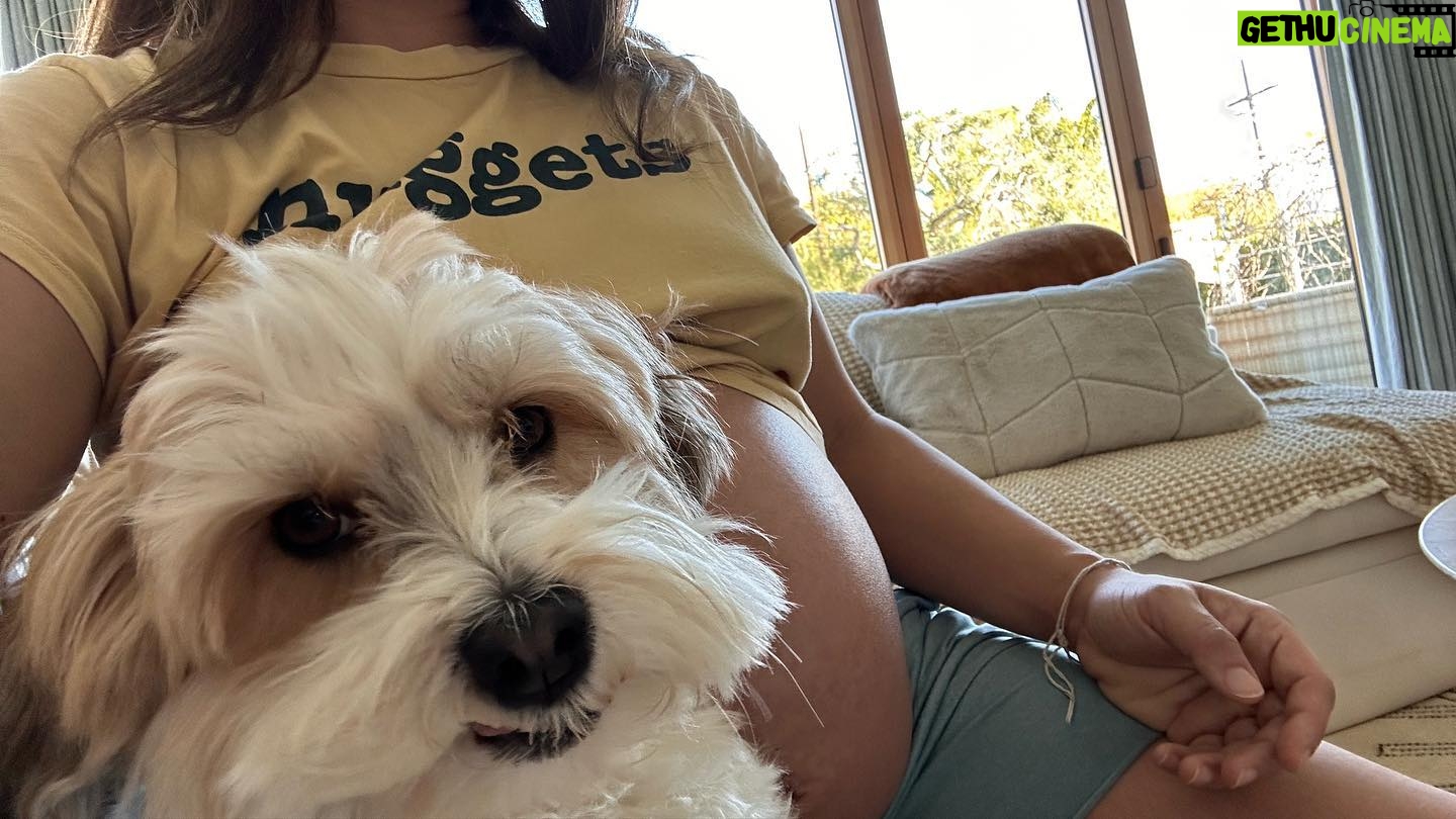 Gina Rodriguez Instagram - Just a few things I’ve been doing while 40 plus weeks pregnant. #notdeadyet #notUnpregnantYet #StopAskingMyDueDate Lets take some bets on what comes first, the tv show or the baby?!?!? Not Dead yet airs Feb 8th on @abcnetwork @notdeadyetabc