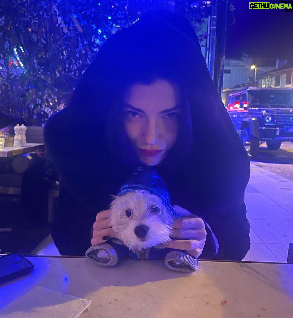 Merve Boluğur Instagram - Cambazla ben gerçek aşkı bulduk
