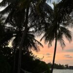 Bar Refaeli Instagram -