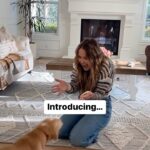 Camilla Luddington Instagram - Meet my new boo, Casper. 👻 @2ndchancesrescue
