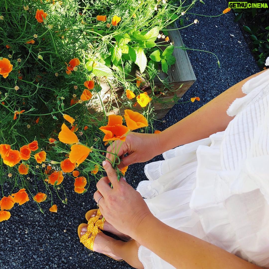 Jessica Capshaw Instagram - Nothing says World Environment Day better than ruffles, Poppies and polka dots, right? 😬 #WorldEnvironmentDay 🌏