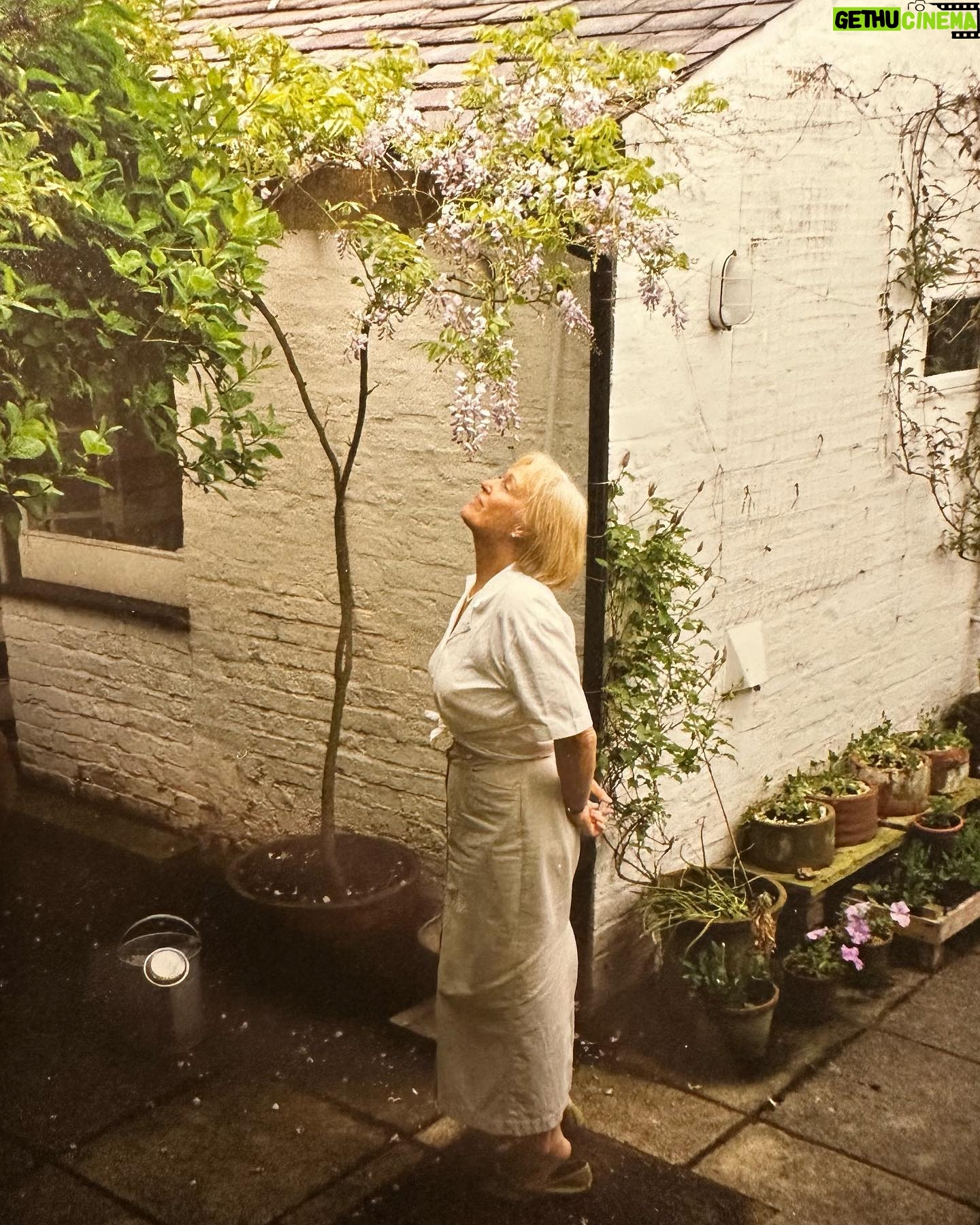 Phoebe Dynevor Instagram - I’ll always think of you just like this. Exquisitely dressed, in the garden, in the summertime. We miss you Grandma ❤️ Shirley Dynevor White. May 15, 1933 - January 10, 2023