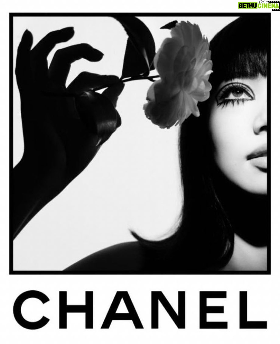 Nana Komatsu Instagram - CHANEL Fall-Winter 2023/24 collection
See you tomorrow 🔜💚💙🤍