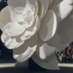 Nana Komatsu Instagram – 今回のcollectionは
メゾンのアイコンでもある「カメリア」
私が思うカメリアは、品格・純粋・完璧そういう要素をヴィルジニーがcollectionを通して表現しつつ、でもどこかパンキッシュさもあり、痺れました!!
カメリアが主役ともあって、刺繍や柄やボタンやブーツや鞄にも沢山カメリアが使われていて、軽やかで女性らしい印象はあるけど、大胆で活発的な女性像だったな。
次は何を着てcollectionを観れるかな。
それも楽しみの一つ👗👢🕶️