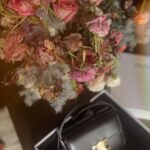 Paris Jackson Instagram - thank you @celine 😍 can’t wait to take this bag everywhere #celinetriomphe #celinepartner