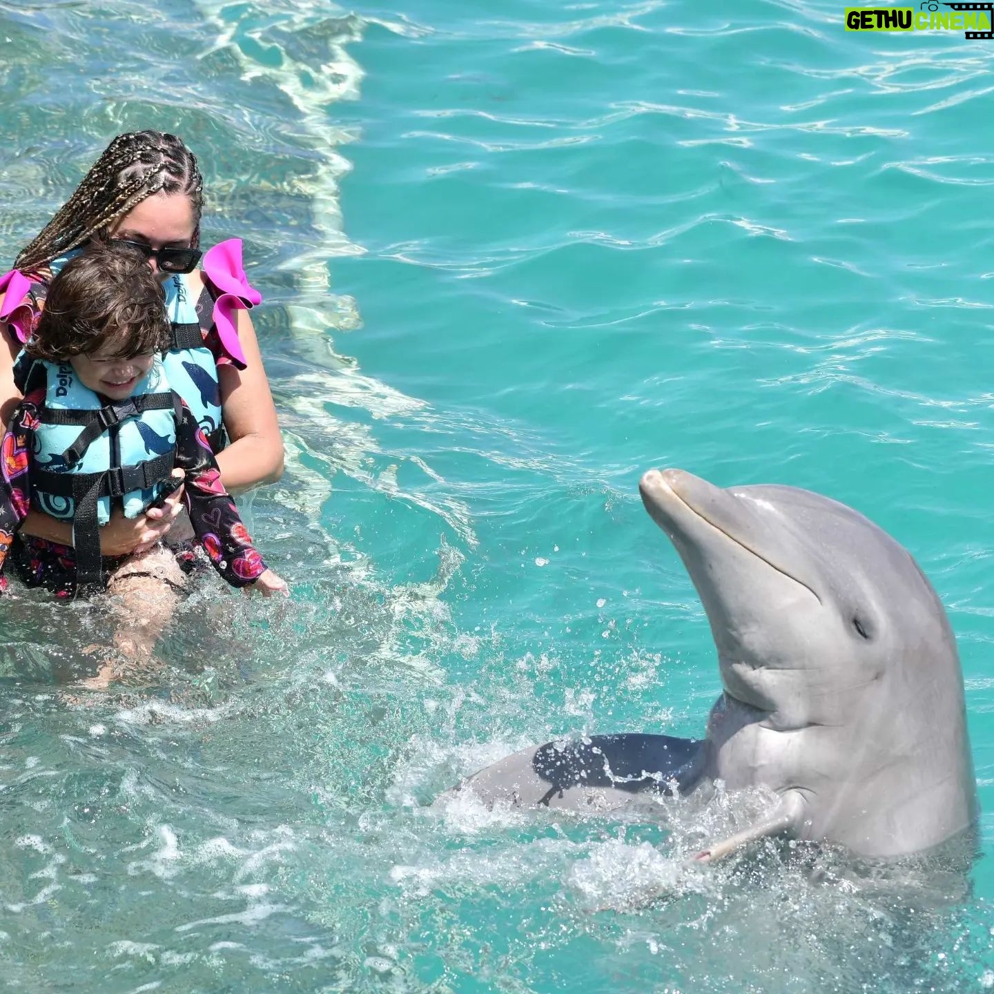 Sherlyn Instagram - Que no haría yo por tu sonrisa?
@dolphindiscovery