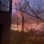 Paris Jackson Instagram - bricks and colours and things