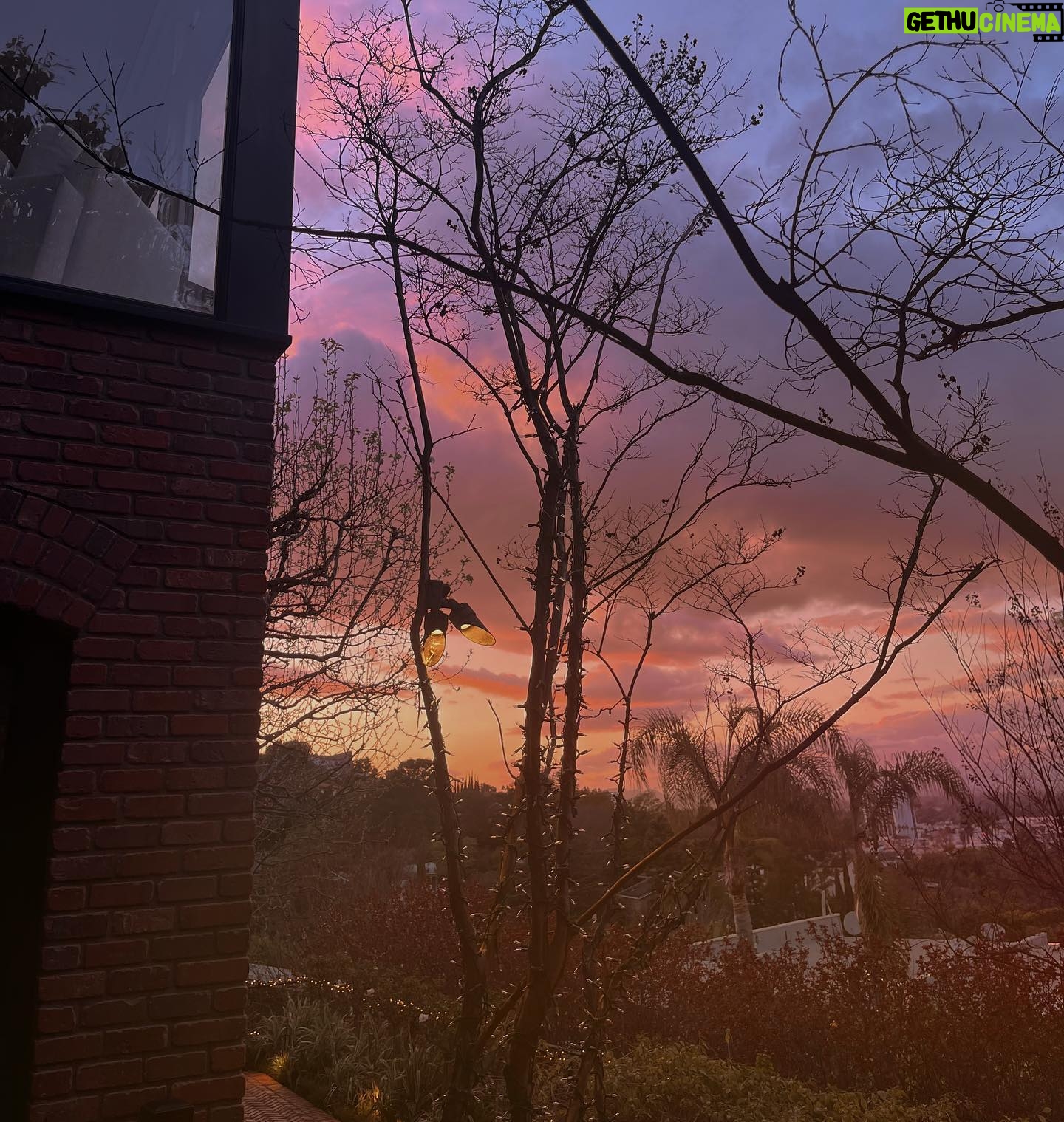 Paris Jackson Instagram - bricks and colours and things