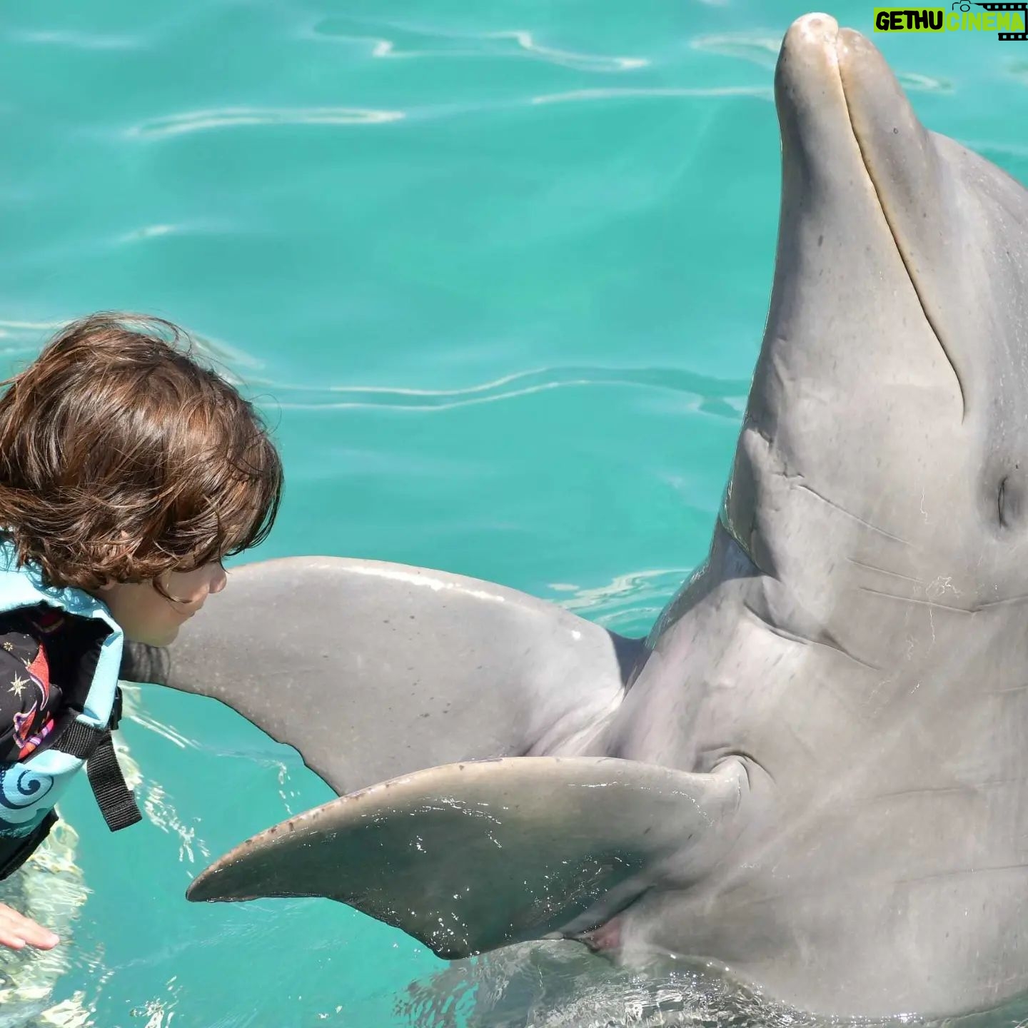 Sherlyn Instagram - Que no haría yo por tu sonrisa?
@dolphindiscovery