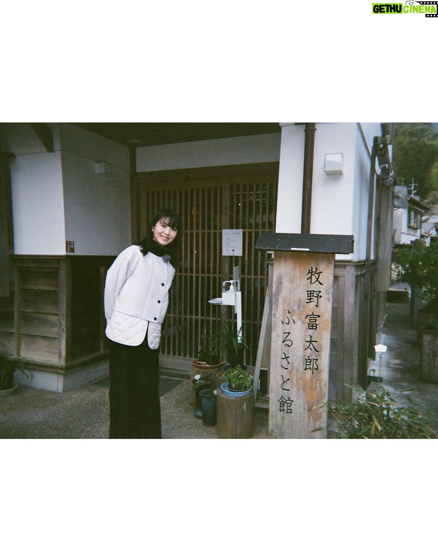 Minami Hamabe Instagram - こんばんは🐆
あっという間に春が来て4月が始まりましたね
数々のお別れを越え
新たなスタートが賑わう4月🐆
といえば。
連続テレビ小説『らんまん』
明日4月3日(月)からいよいよ始まります!🐆🐆🐆🐆
日本の植物学者・牧野富太郎博士をモデルに、神木隆之介さんが草花をこよなく愛する主人公(万太郎)を演じられる、愛がいっぱい詰まった物語です🐆
初週は万太郎さんが子供の頃のお話です🐆
『約束のネバーランド』でフィルとしてご一緒した森優理斗くんが元気いっぱい愛らしさいっぱいで演じていて、心をあっという間に鷲掴みされてしまいました🐆
心を晴れやかに明るく照らしてくれるドラマになっているなと思い、私も「らんまん」と共にこれから迎える朝が楽しみです🐆
明日から皆さんとおはようしたいですね🐆
写真はロケ撮影で出会ったピンクの椿🐆
神木さんと撮らせていただいた写真はまだ現像に至っておらず…第2週以降にあげますね🐆
では!明日はちゃんと起きなきゃだから!おやすみなさい!!