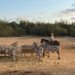 Renata Notni Instagram - Enloquecida 🐴 🦓 🧡
@cuixmala 
#cuixmala