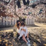 Sherlyn Instagram – Bienvenidos a Japón, esta foto describe perfecto como me siento en este momento FLORECIENDO. Hace años estuve aquí, llena de dudas y de sueños por cumplir, el más importante convertirme en mamá, hoy años después la vida tiene mucho color, más amor. Me siento más plena, madura, con una capacidad de amar que no conocía, con mi hijo en brazos y muy orgullosa de la mujer en la que me he convertido,les comparto esta foto , por si te sientes perdid@s o que aún no le encuentras el rumbo a tu vida, relájate que Dios es maravilloso y pronto podrás encontrar tu propia paz!
