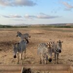 Renata Notni Instagram - Enloquecida 🐴 🦓 🧡
@cuixmala 
#cuixmala