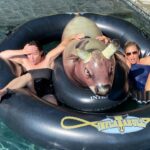Sarah Michelle Gellar Instagram - It’s your birthday @theshando so in honor of you, here is a slideshow of some of more ridiculous stunts (swipe right) Any suggestions for new ones?