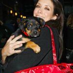 Kate Walsh Instagram – Rosie Walsh, aka Rosie The Dog, aka Rosie Perez, aka Rose Hound, Rosebud, Roro has left us after 15 years, 3 months of loyal service. 💫 💔 Rosie was born under a house in the Bronx and I adopted her just 8 weeks later as part of a dog adoption campaign with @AnimalHaven in NYC & took her back to Los Angeles to hang out with Lucy, Billy, Pablo & me. (I initially couldn’t decide between Rosie and her brother Amico, so when I chose Rosie, my brother Sean adopted Amico and took him home to Seattle 😊)
We had so many amazing years together, from the Hollywood Hills to the dog parks of Los Feliz & Encino, to the snowy mountains of Lake Tahoe, to the beaches of Malibu to the streets of NYC & Washington square park, and finally to Perth, where she has endlessly walked & swam the beaches, the Swan river, and vigorously rounded the cricket oval & trails as if she was expected at the Swanbourne Bridge Club! 😂 Rosie had an iron will to live and was my always companion…whenever I could bring her to set I would, and when I couldn’t I had the best people looking after her.
She kept Lucy the Dog, Billy & Pablo company until they left this world and I’m so grateful for all she taught me and very, very grateful that she waited for me to come back from LA say goodbye to me snout to snout. I am also incredibly grateful for Mikey Lage (@MrHollywoof), Heather Tobin (@Southern_Spirit_Farm), #CristyDavey and Tina Van Leuven (@UpliftersNation) and all the others who have walked Rosie & loved her so well. And thanks too to all of the wonderful veterinarians all over the world, but especially here in Perth who helped her with her palliative care and eventually her transition at home. I honestly think she was the happiest here in her Western Australia retirement.