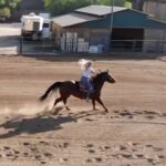 Kinsey Wolanski Instagram - Miss having horses In my backyard 🤎 little glimpse into a big part of my childhood