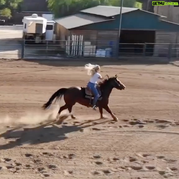 Kinsey Wolanski Instagram - Miss having horses In my backyard 🤎 little glimpse into a big part of my childhood