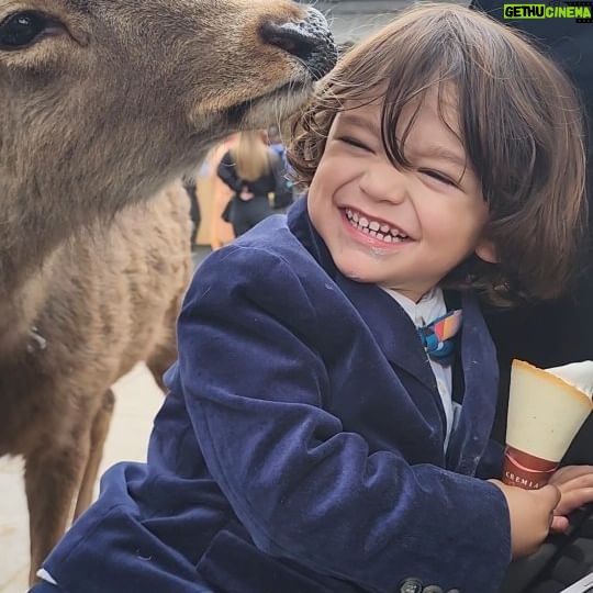 Sherlyn - 31.5K Likes - Quédate con quien te cuide como @andrenuestrobebe a su helado! #japon #japan #travel #baby #deer #icecream