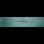 Soyou Instagram - 소유 (SOYOU) DS '우리는 매일 이별을 향해 걸어가지'

MV Teaser #1

🔗 https://youtu.be/wVRyjsMddbY

2023. 4. 18. 6PM (KST)

#소유 #SOYOU @soooo_you
#우리는매일이별을향해걸어가지 #FarewellEveryday
#BPM #BigPlanetMade