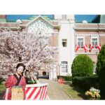 Minami Hamabe Instagram - 連続テレビ小説『らんまん』第3週ご視聴ありがとうございました🎗

大きく成長した万太郎さんと竹雄さんの仲の良さが可愛らしくてずっと見ていたくなります🎗
牛鍋をすごく美味しそうに食べてて!
すき焼きを夜ご飯にするぞーってお昼頃からわくわくして、先程スーパーで買い出しをしていたのですが、なんだか来週からの撮影に向けてお菓子コーナーを探索したりギルティな炭水化物を覗いていたら、牛肉と卵を買い忘れました🎗ほんとにがっかりします自分に

寿恵子はカエル様と印象的な出会いをしました🎗この出会いが後に育まれますように
白梅堂でも売っていた、かるやきはお砂糖に重曹を入れて作るので甘さのなかにちょっとだけ苦味もあるんです🎗サクッとした軽い食感とちょっとの苦味がかなり美味しく、かるやきは撮影で使わなかったものを頂いて帰りに食べて帰っています🎗

第4週は東京から佐川に帰った万太郎さんたちの物語🎗楽しみです🎗