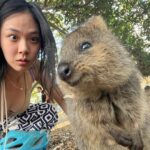 BIBI Instagram - 쿼카!
